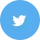 Twitter Icon